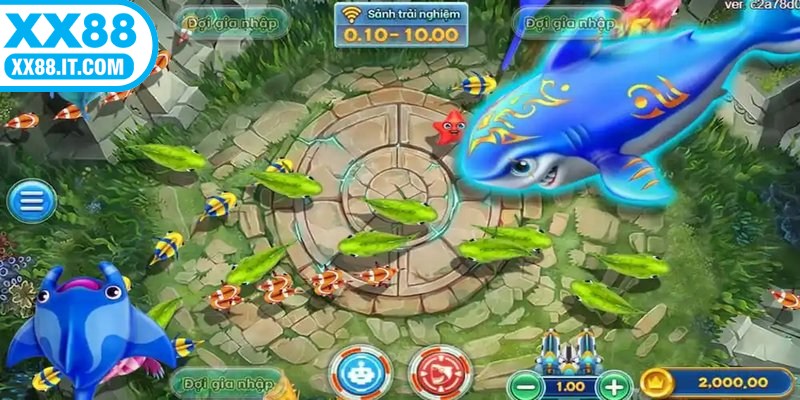 Chiến thuật săn ngư hiệu quả, thu về nhiều thưởng lớn