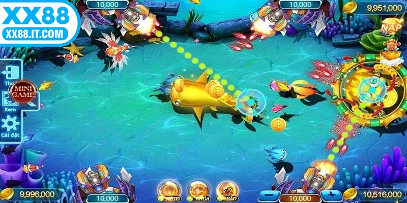 Kinh nghiệm săn cá Rồng hiệu quả, rinh tiền về đầy túi