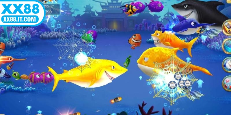 Câu Cá Phát Tài nổi bật với hàng loạt tính năng độc đáo