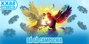 Đá Gà Campuchia