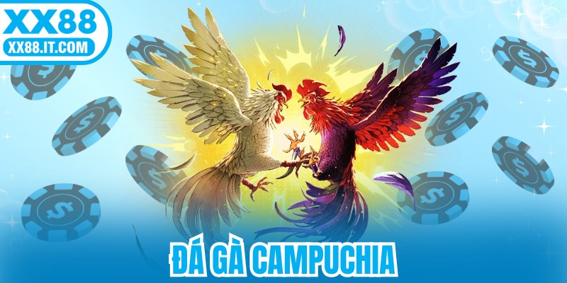 Đá Gà Campuchia