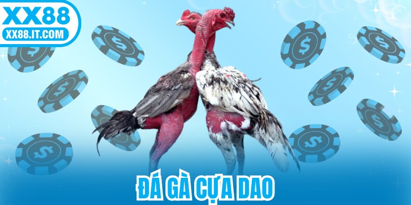 Đá Gà Cựa Dao