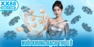 Nuôi Khung Bạch Thủ Lô